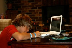 AV writing about sea bears