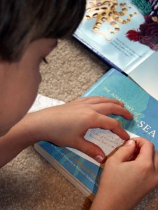 JV's mini pencil. Look closely he is erasing here - see the point.