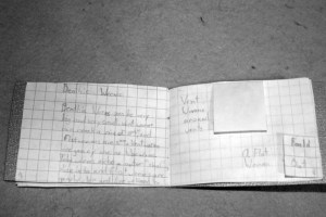 Benthic worms - tube and flat