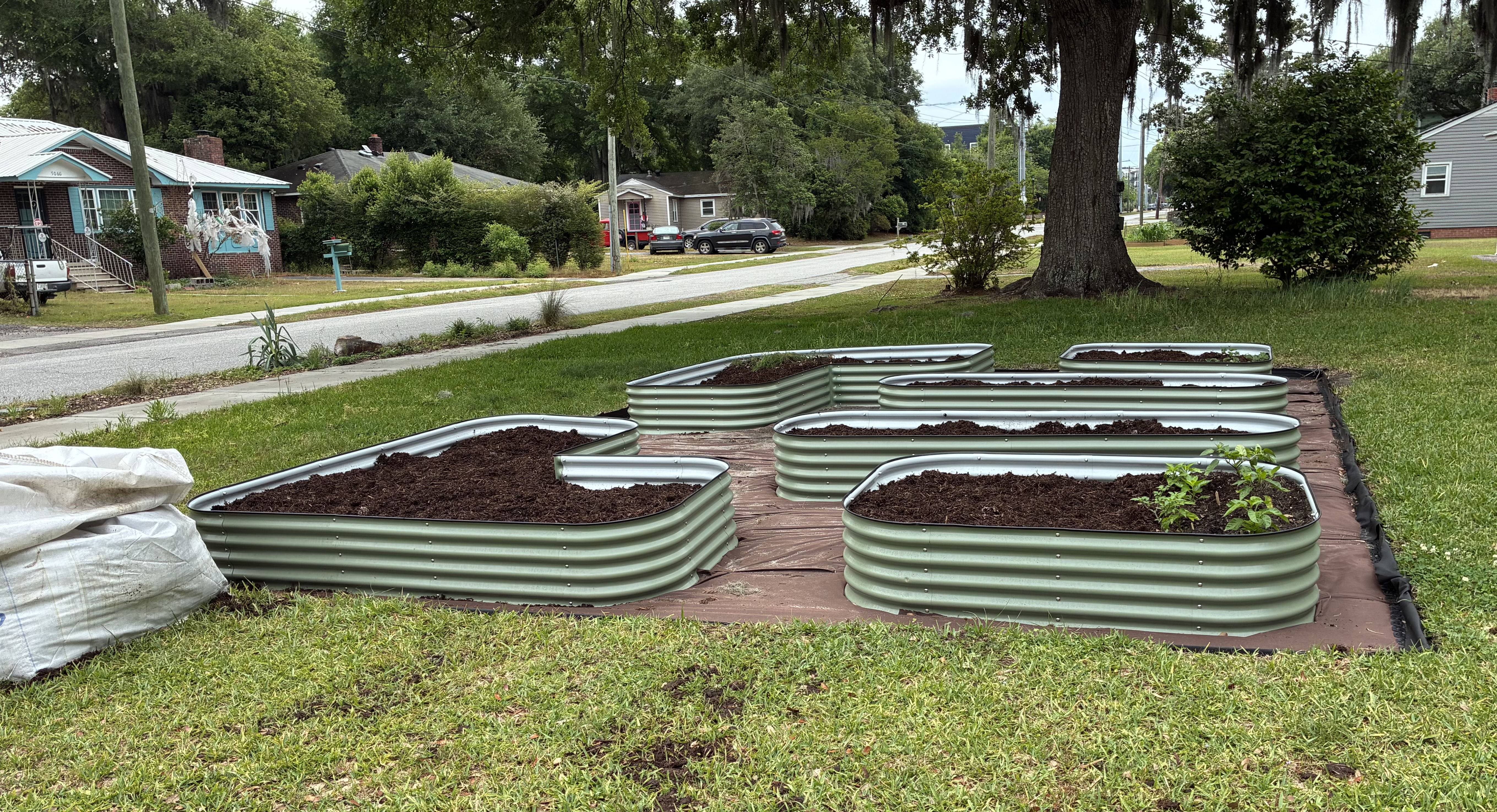 Plant gardens and eat the food that grows there